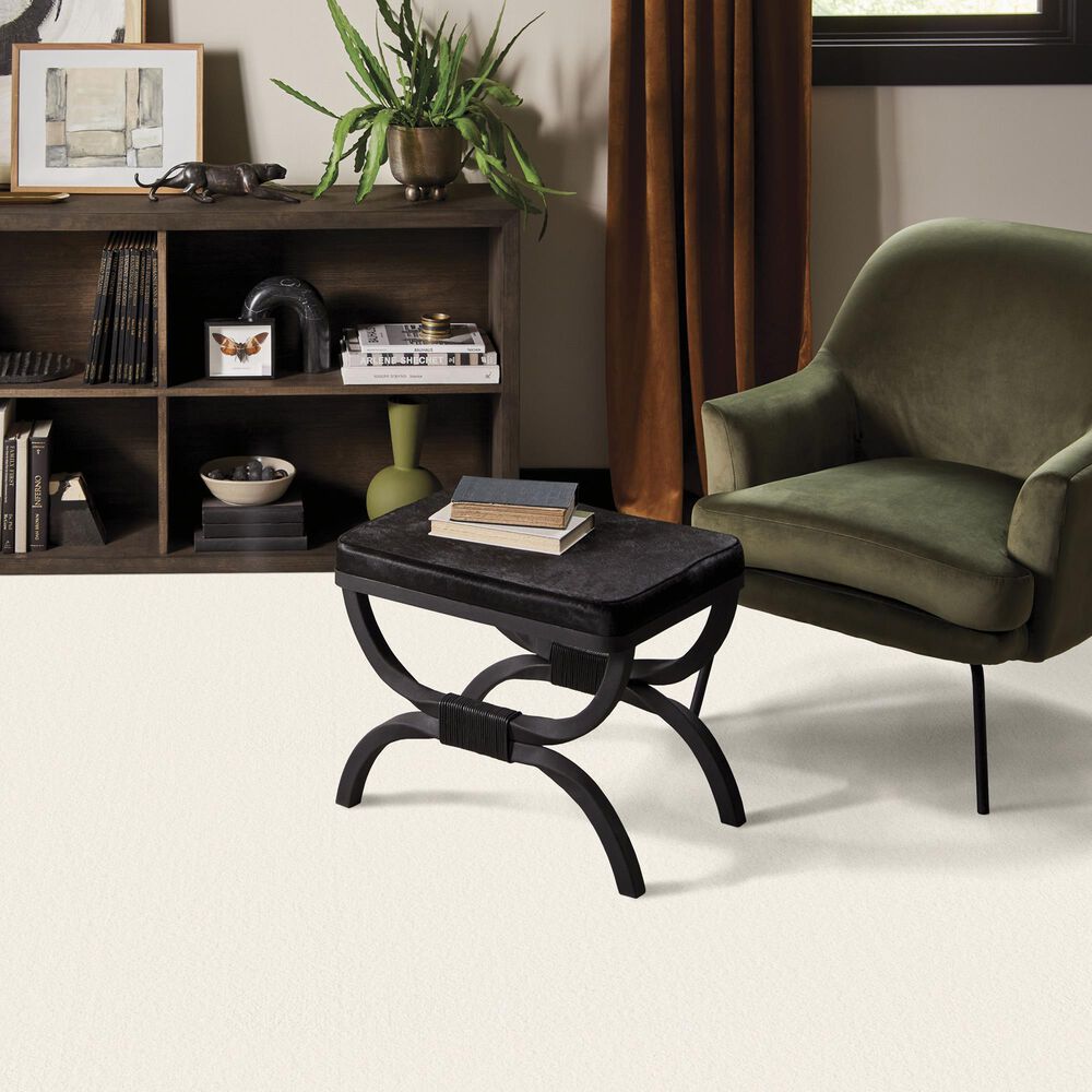Anderson Tuftex Finery Carpet in Pure White, , large