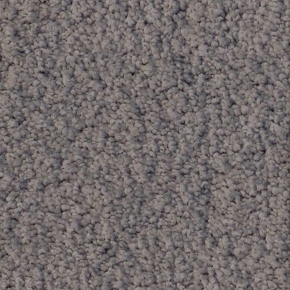 Anderson Tuftex Luxe Feel II Carpet in Shale Stone, , large