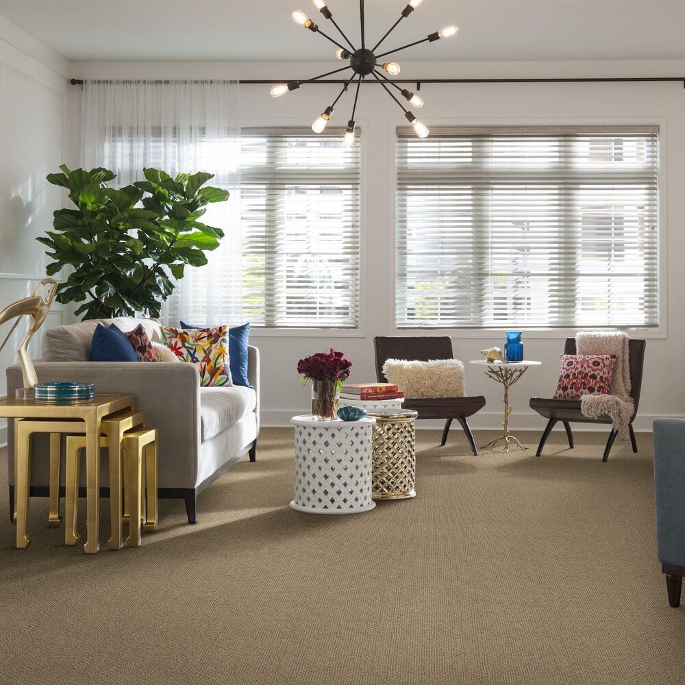 Anderson Tuftex Ario Carpet in Antique, , large