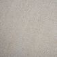 RIZZY Cosgrove Ivory 3" x 5" Area Rug, , large