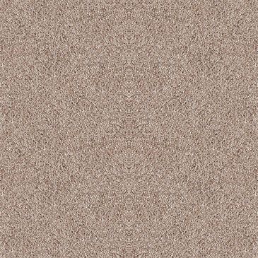Dixie Home Noble Guardian Carpet in Bark, , large