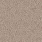 Dixie Home Noble Guardian Carpet in Bark, , large