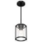 Hunter Astwood 1-Light Mini Pendant in Matte Black, , large