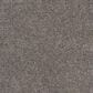 Dream Weaver Rustic Retreat I Carpet in Tuscanna, , large