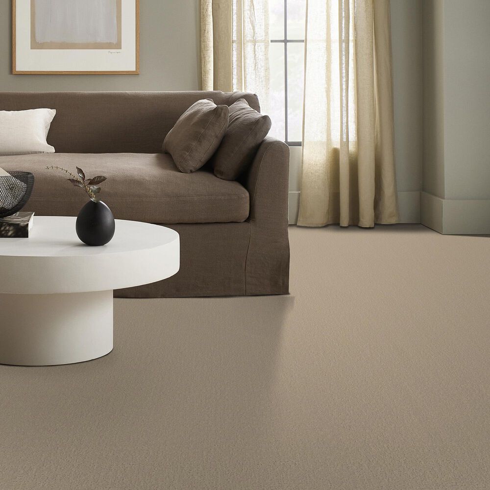 Shaw Canvas Comfort Carpet in Back Patio, , large
