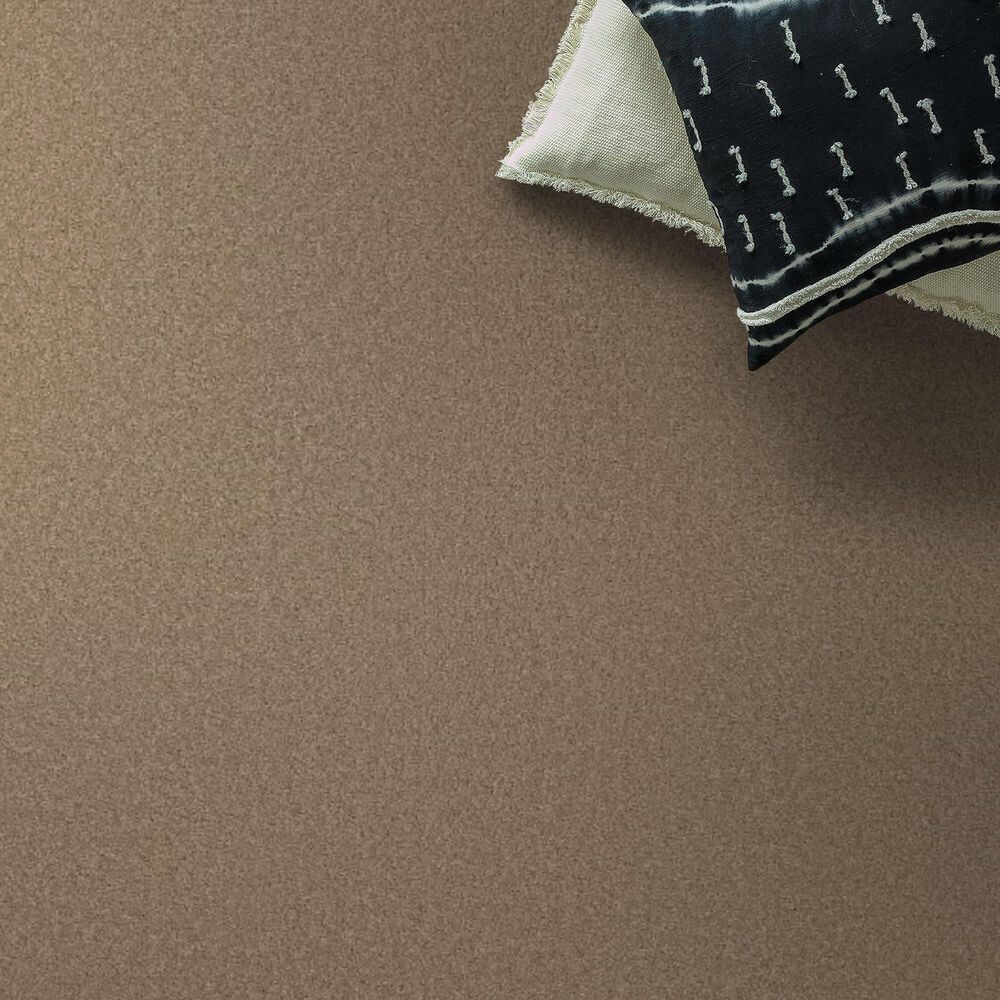 Anderson Tuftex Elegant Beauty Carpet in Biscotti, , large