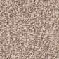 Dixie Home Debut Carpet in Laid Back, , large