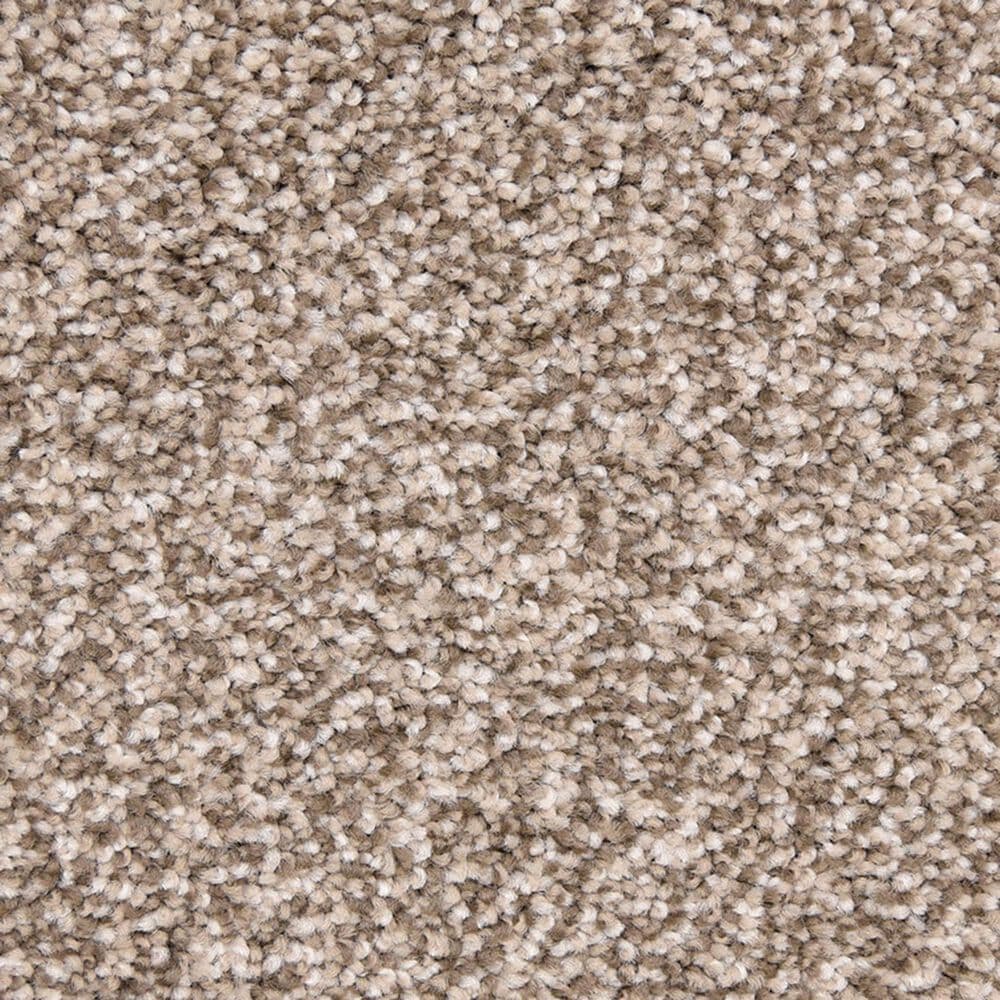 Dixie Home Debut Carpet in Laid Back, , large