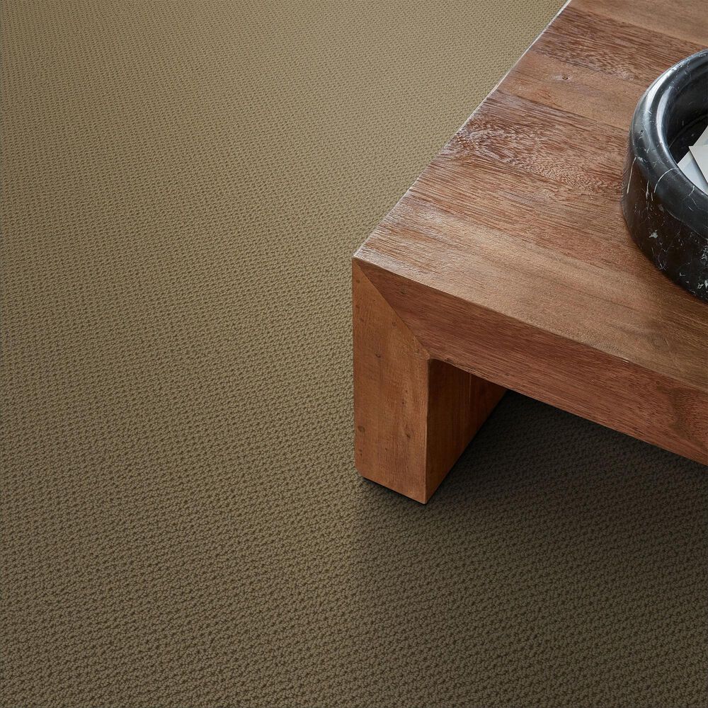 Anderson Tuftex Gracious Carpet in Warmth, , large