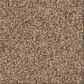 Shaw Comforting I Carpet in Studio, , large