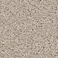 Shaw Wonderland I Carpet in Outer Banks, , large