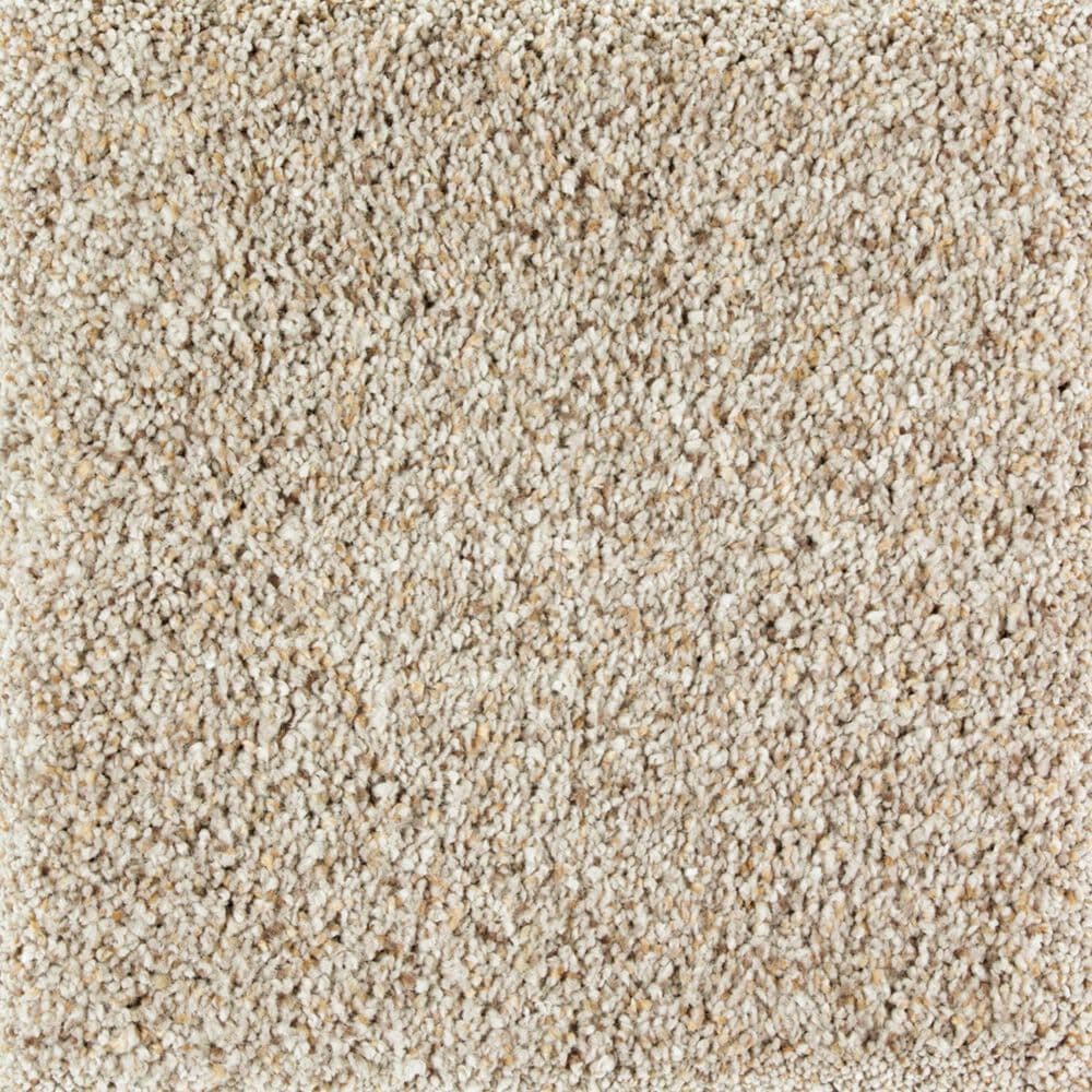 Mohawk Exquisite Appeal Carpet in Jack Rabbit, , large