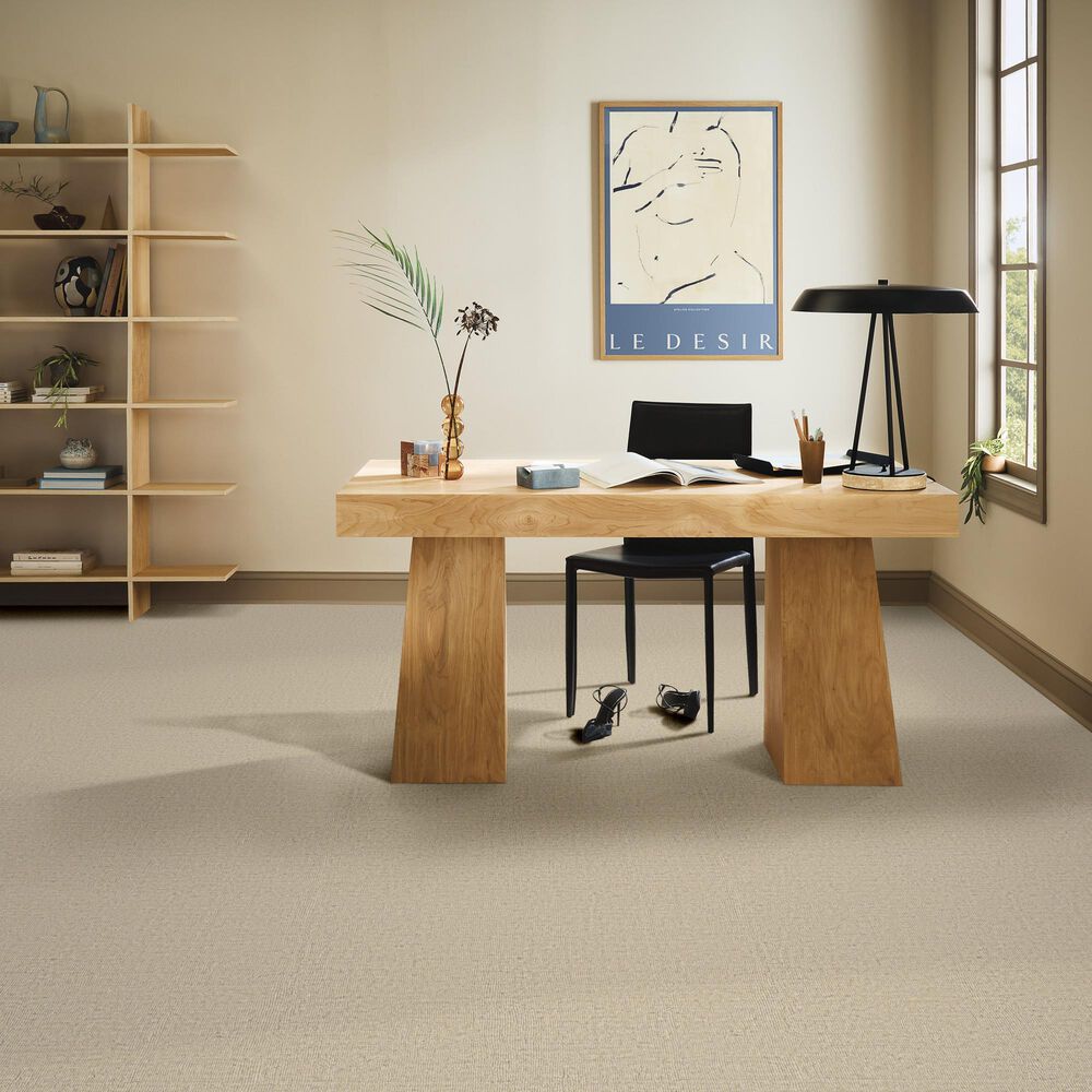 Anderson Tuftex Sensate Carpet in Whisper, , large