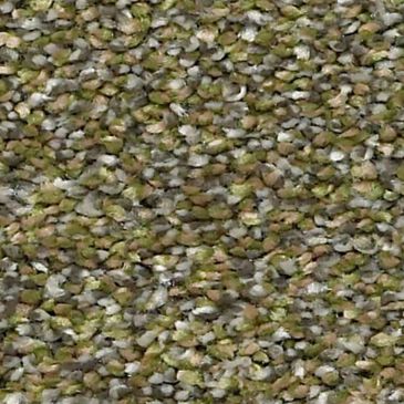 Shaw Points of Color I Carpet in Chameleon, , large