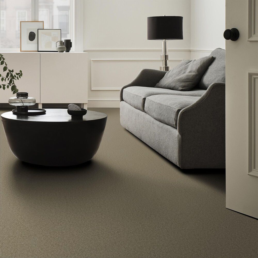 Anderson Tuftex Enchanting Carpet in Slate, , large