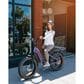Magnum Bliss Electric Bike in Amethyst, , large
