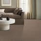Anderson Tuftex Caboodle Carpet in Camelback, , large