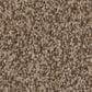 Anderson Tuftex Terra Nova Carpet in Ranch, , large
