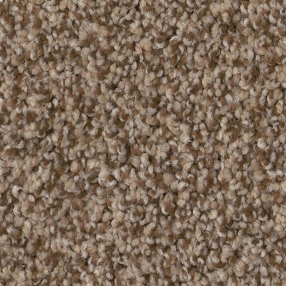 Anderson Tuftex Terra Nova Carpet in Ranch, , large