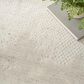 Nourison Harmony 9"9" x 13"9" Ivory Area Rug, , large