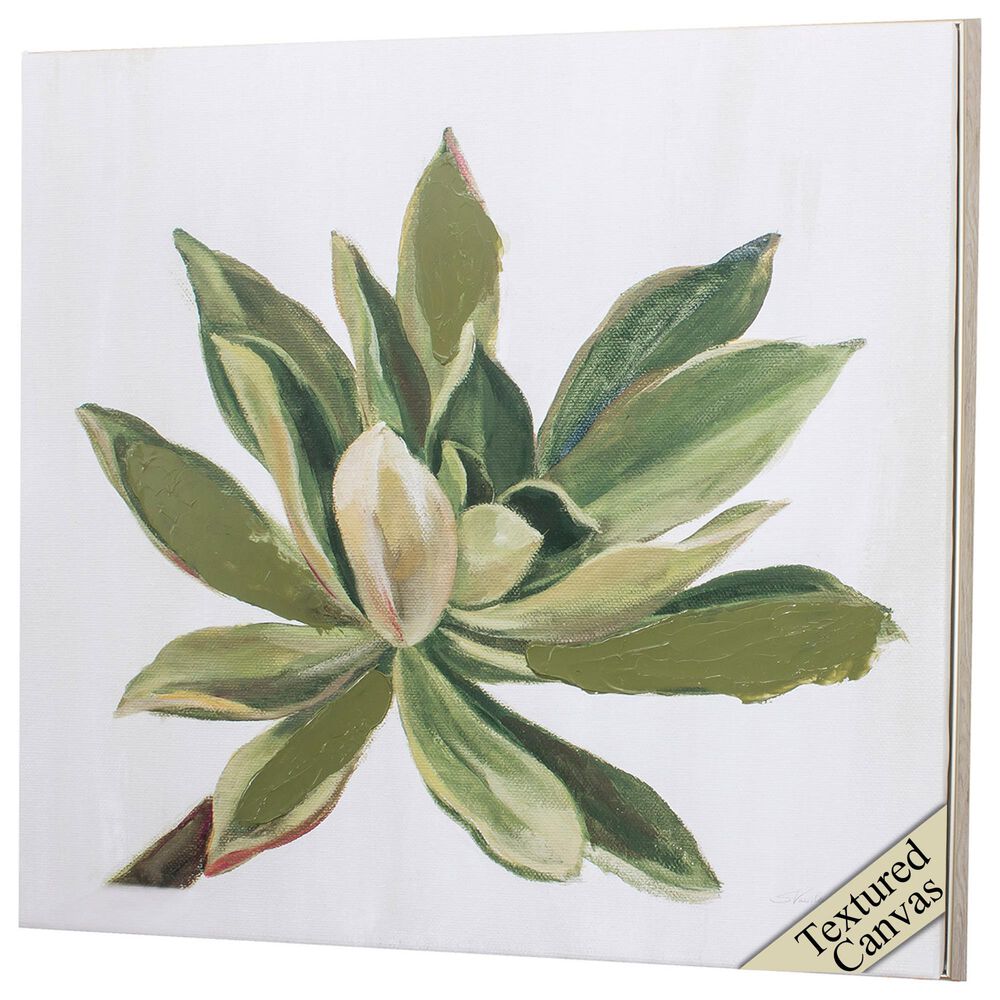 Propac "Succulents I" Wall Art in Green, , large