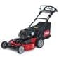 Toro TimeMaster 30" Gas-Powered Personal Pace Lawn Mower, , large