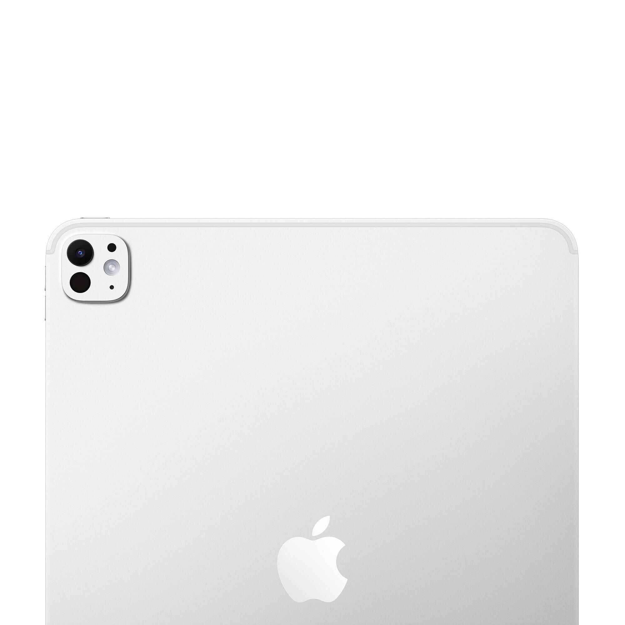 Apple 13