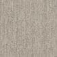 Dream Weaver Baja II Carpet in Point Break, , large