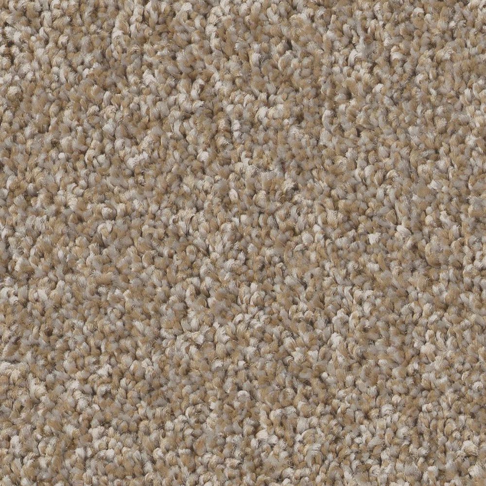 Shaw Imaginable I Carpet in Raw Wood, , large