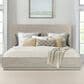 Blue River Abbey King Platform Bed in Silver Grey Oak, , large