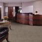 Shaw Capital III Carpet in Eminence, , large