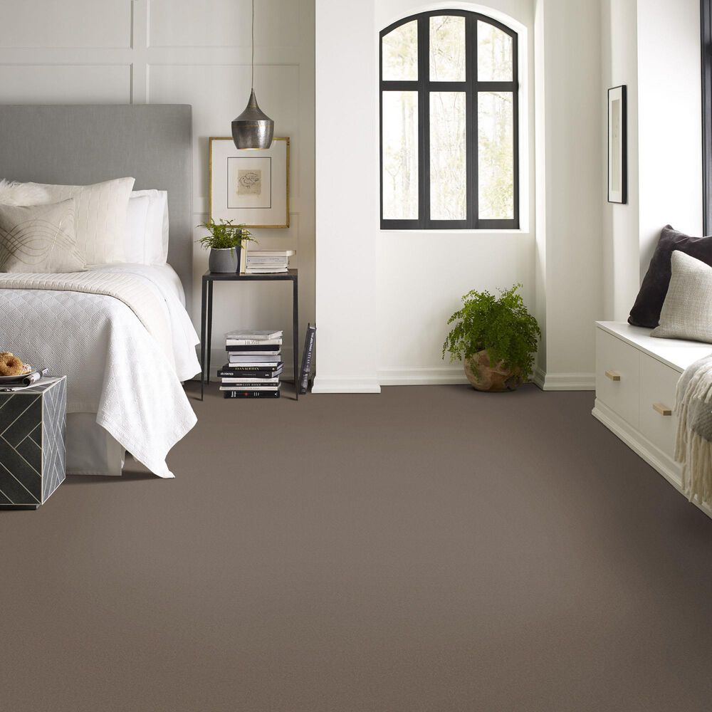 Anderson Tuftex Finery Carpet in Riverbank, , large