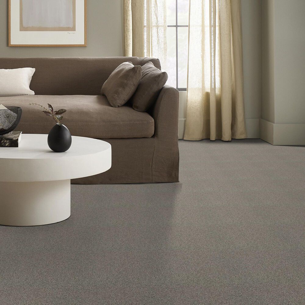 Shaw Acadia Park Carpet in Gray Elusive, , large