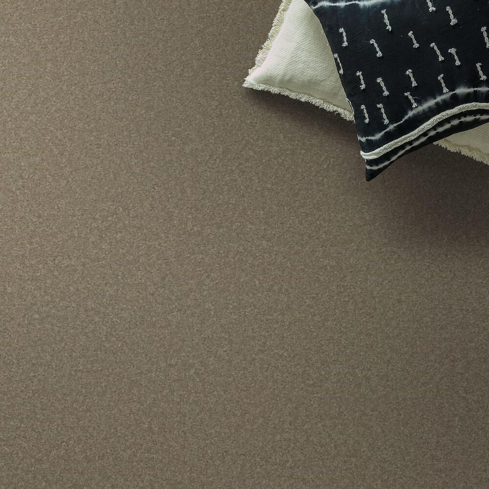 Anderson Tuftex Elegant Beauty Carpet in Slate, , large
