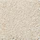 Shaw Foundations Take The Floor Texture Blue Carpet in Toasted, , large