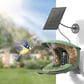 Birdfy Bird Feeder 2 with Smart Camera and Solar Panel in Green, , large