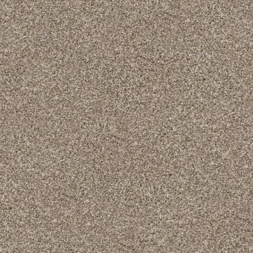 Dixie Home Guard Carpet in Sheltie, , large