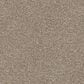 Dixie Home Guard Carpet in Sheltie, , large