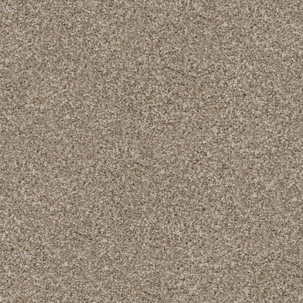 Dixie Home Guard Carpet in Sheltie, , large
