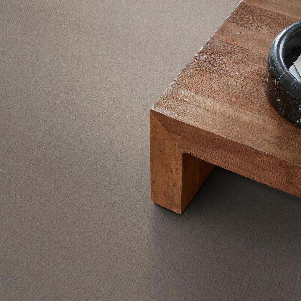 Anderson Tuftex Lyric Carpet in Grounded, , large
