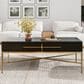 Jennifer Taylor Home Kingsly Storage Coffee Table in Espresso Black and Gold, , large