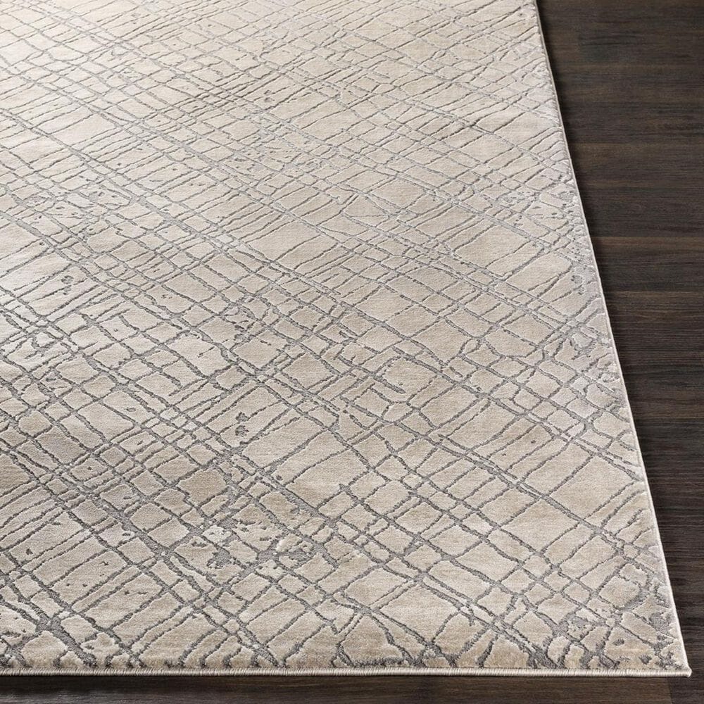 Surya Tibetan TBT-2314 5&#39;3&quot; x 7&#39;6&quot; Gray, Cream and Taupe Area Rug, , large