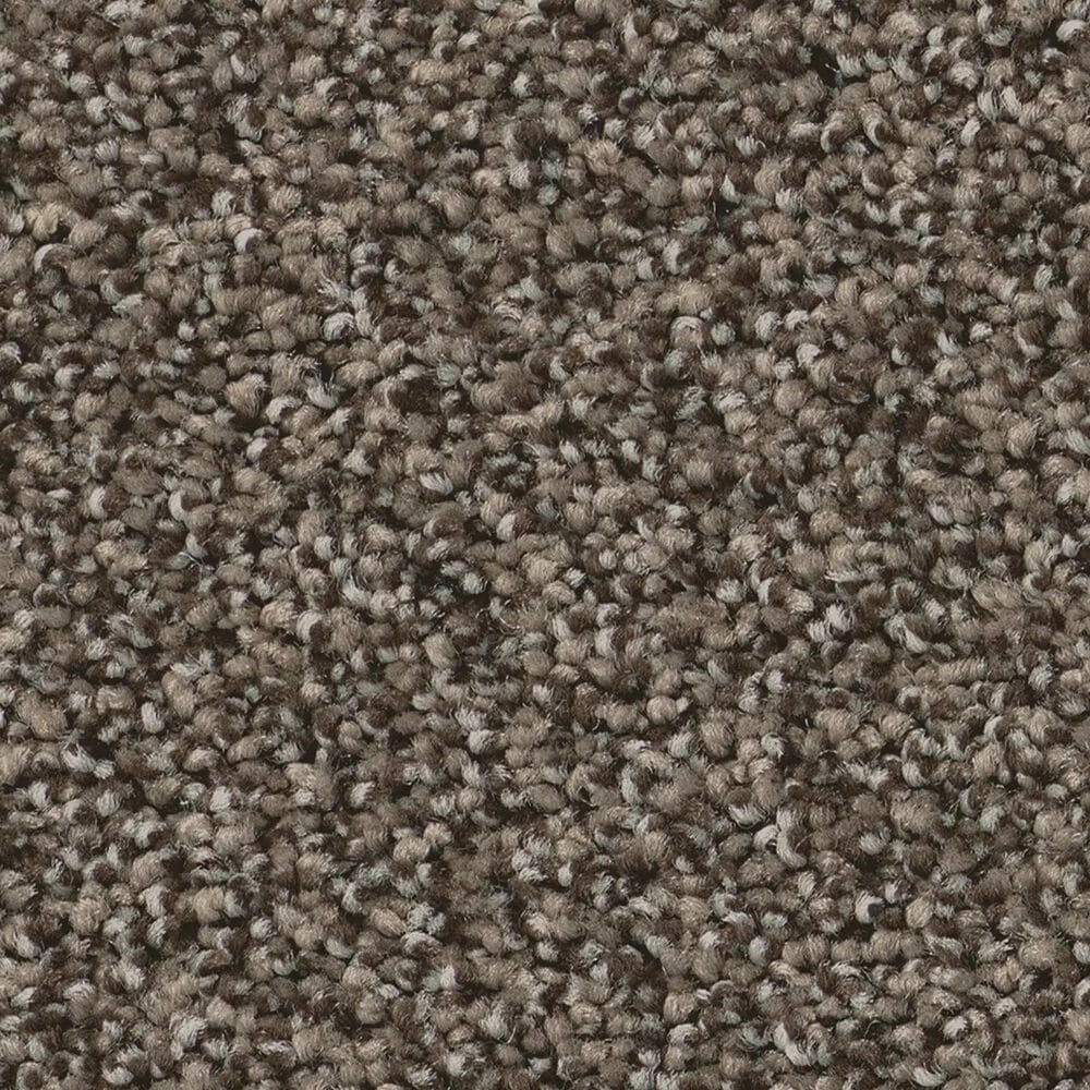 Anderson Tuftex Wyndham Estate Carpet in Sable, , large