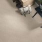 Anderson Tuftex Renoir Carpet in Inner Balance, , large