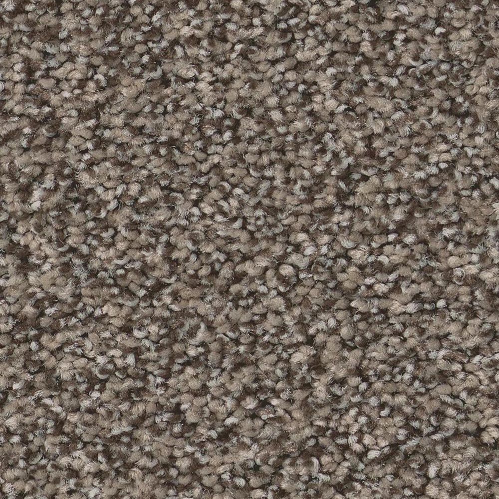 Anderson Tuftex Fabulous Carpet in Ottertail, , large