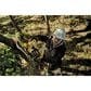 DeWALT Flexvolt 60V Brushless Chainsaw, , large