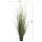 Maple and Jade 60" Indoor/Outdoor Tall Artificial Onion Grass with Black Plastic Pot in Green, , large