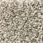 Shaw Break Away Tonal Carpet in Natural Ivory, , large