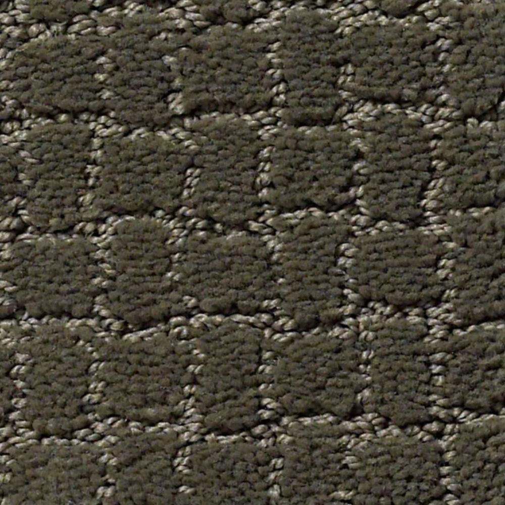 Anderson Tuftex Pawstruck Carpet in Smoked Oyster, , large