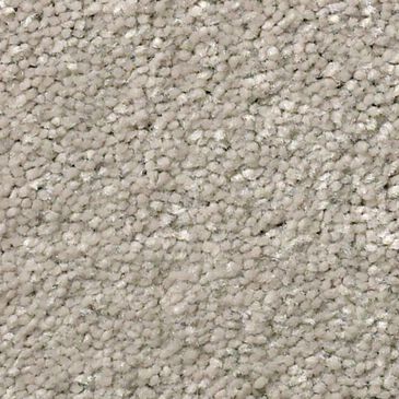 Shaw Well Grounded III 12" Carpet in Greige, , large